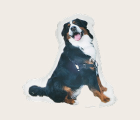 やわらかクッション