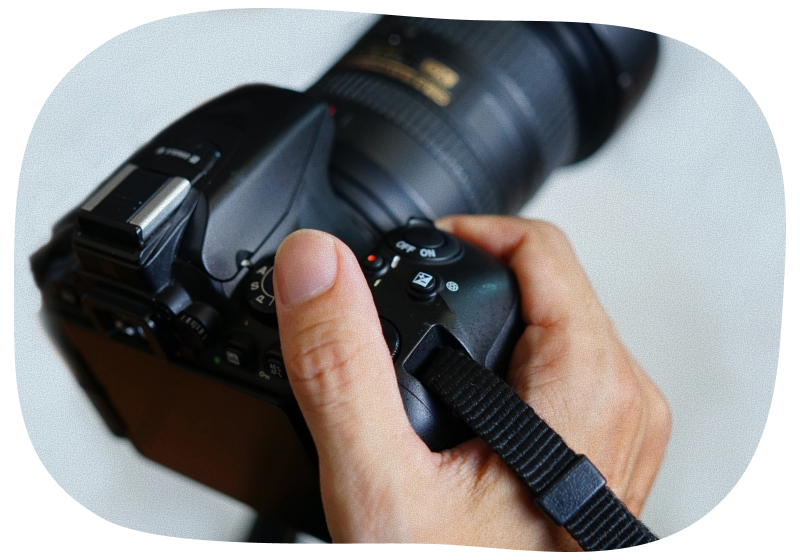 ペットの扱いに慣れたプロカメラマンが担当